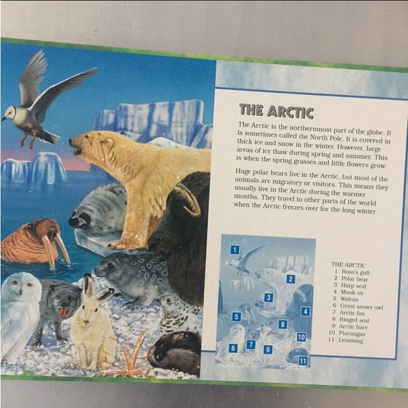⭐️Animals of the World⭐️puzzle - Picture 8 of 8